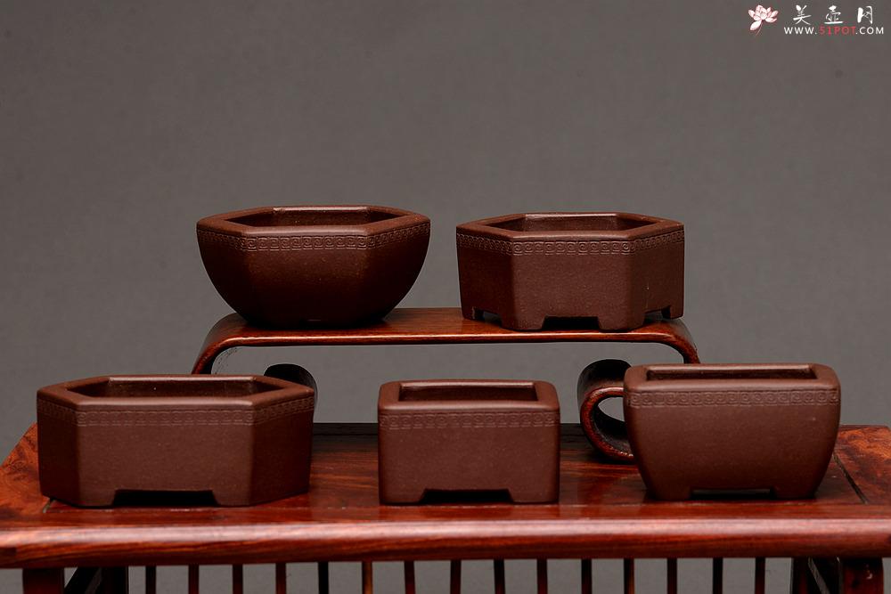 紫砂壶图片：张秋平全手微型花盆 美壶网回馈之作 气度更加漂亮 - 美壶网