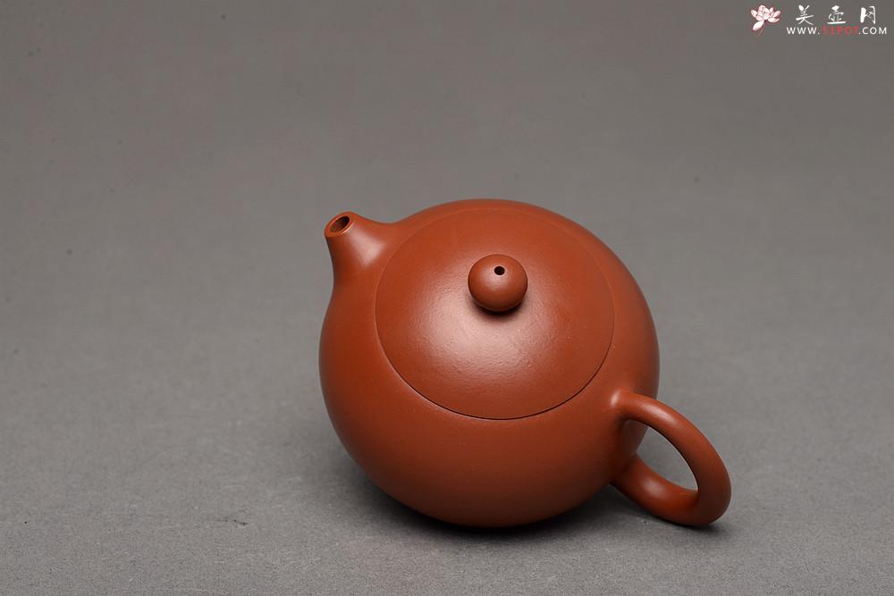 紫砂壶图片：优质朱泥 做工精致 西施 喜人 经典传统 - 美壶网