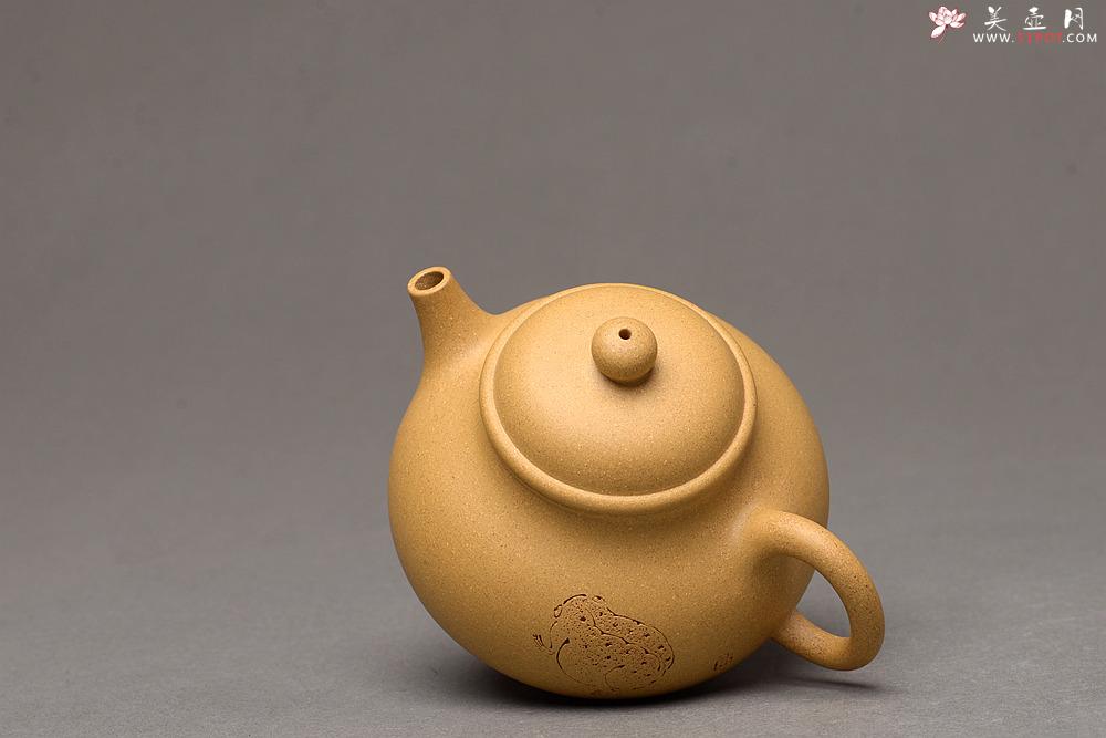 紫砂壶图片：壶中经典 古朴实用 杀茶利器 容天  - 美壶网