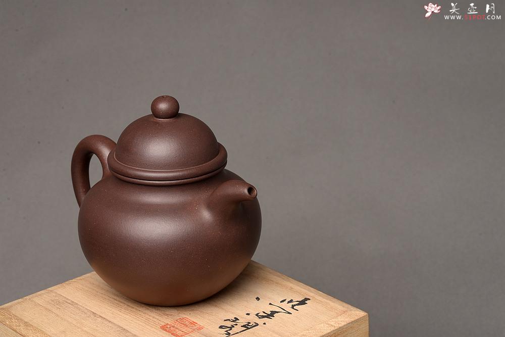 紫砂壶图片：深得其味 全手寿珍掇球 霸气 经典再现 - 美壶网