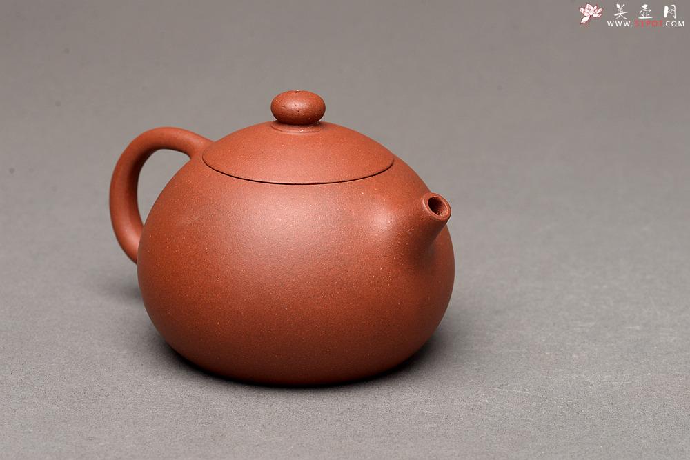 紫砂壶图片：美壶特惠 老味 美壶定制小品 红美人~ 摹古小西施 - 美壶网