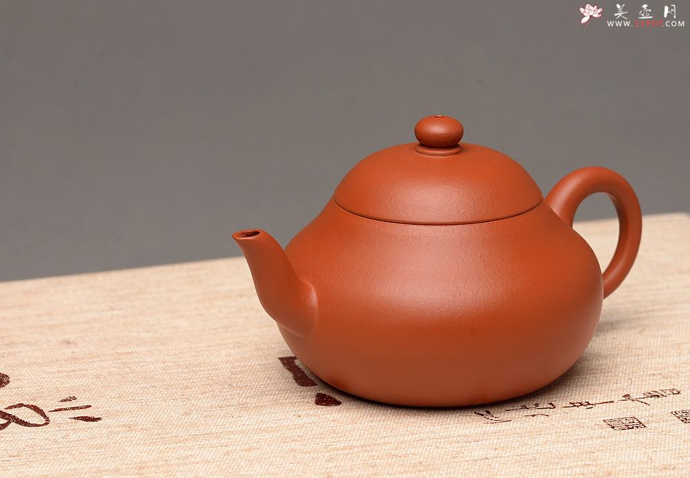 紫砂壶图片：美壶特惠 优质朱泥 娇艳迷人 秀气可人 梨形 - 美壶网