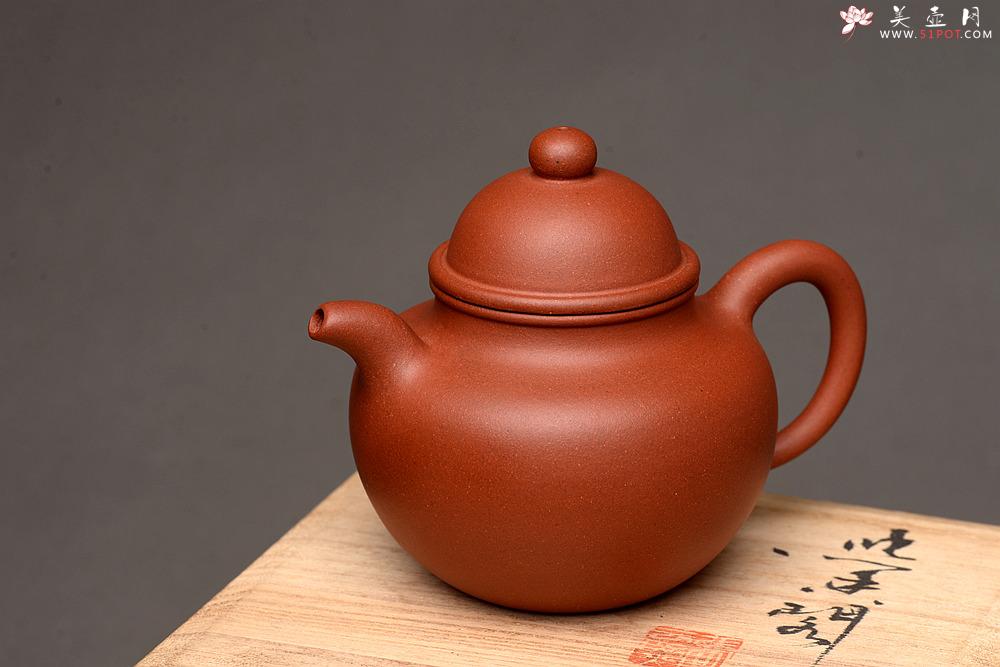 紫砂壶图片：美壶特惠 优质红皮龙 传统经典 寿珍掇球 - 美壶网