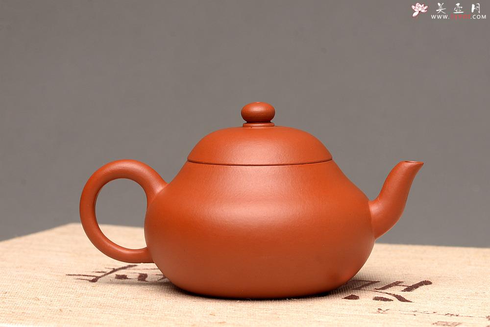 紫砂壶图片：美壶特惠 优质朱泥 娇艳迷人 秀气可人 梨形 - 美壶网