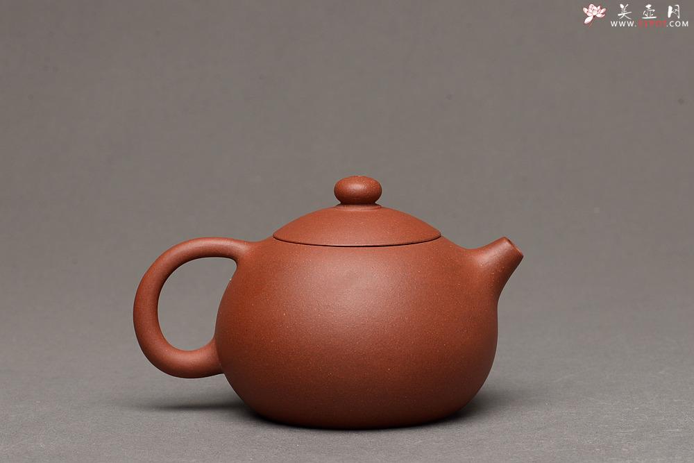 紫砂壶图片：美壶特惠 老味 美壶定制小品 红美人~ 摹古小西施 - 美壶网