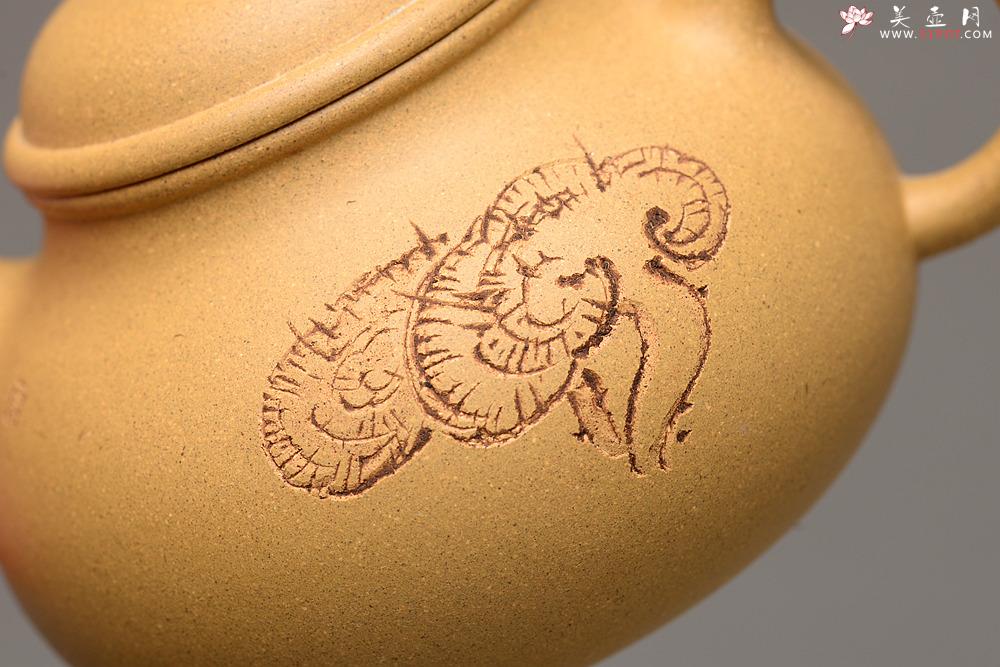 紫砂壶图片：壶中经典 古朴实用 杀茶利器 容天  - 美壶网