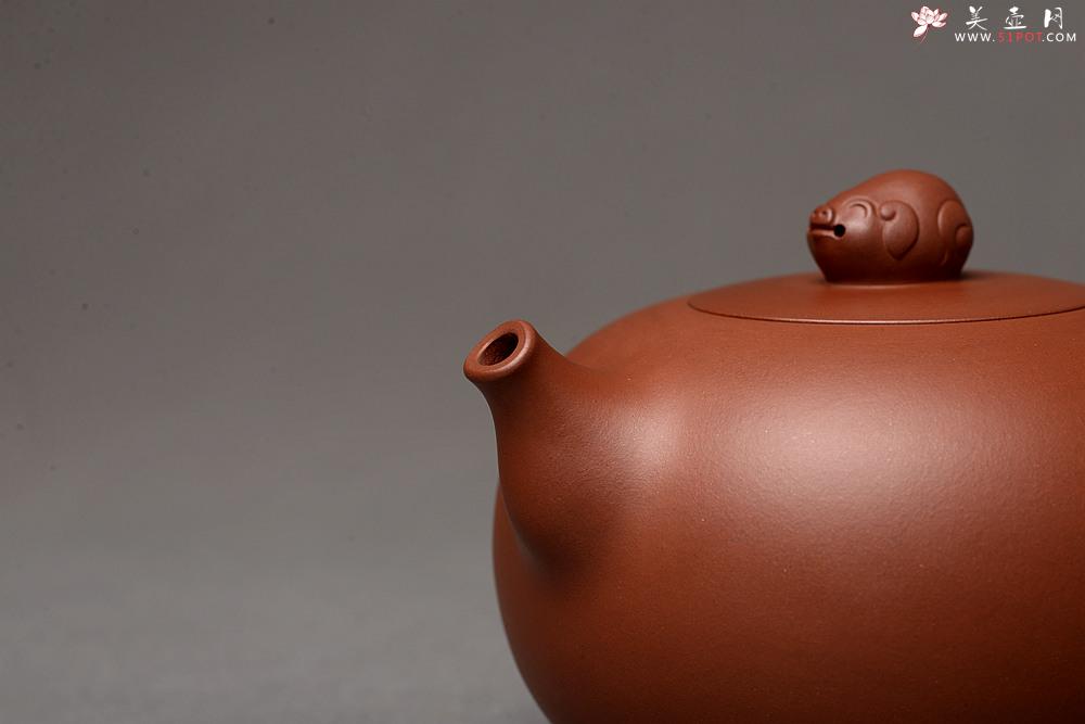 紫砂壶图片：乙未年终全手力作 敦厚可人 处处细节 寓意吉祥 金猪纳福  - 美壶网