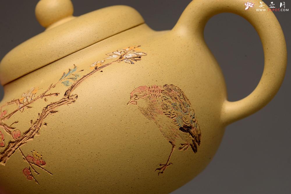 紫砂壶图片：此壶小巧文气 圆润饱满 实用有趣 本山绿圆珠  - 美壶网