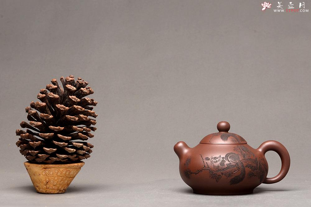 紫砂壶图片：美壶特惠 谭华斌近作 道洪风格之珠韵 刻绘精细生动  - 美壶网