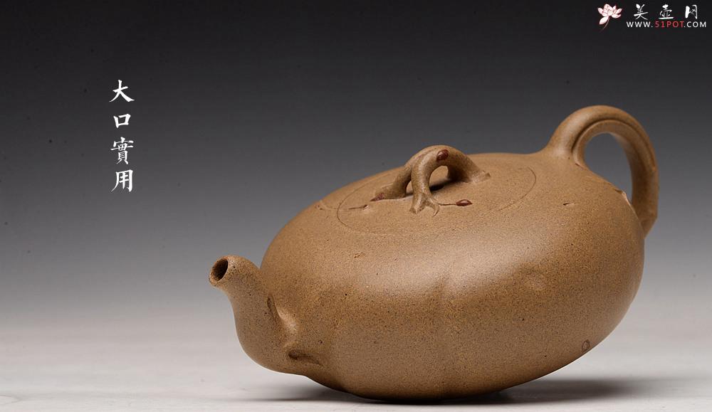 紫砂壶图片：高雪琴新作 优质老段泥 贴叶灵动 大口实用 全手春趣 - 美壶网