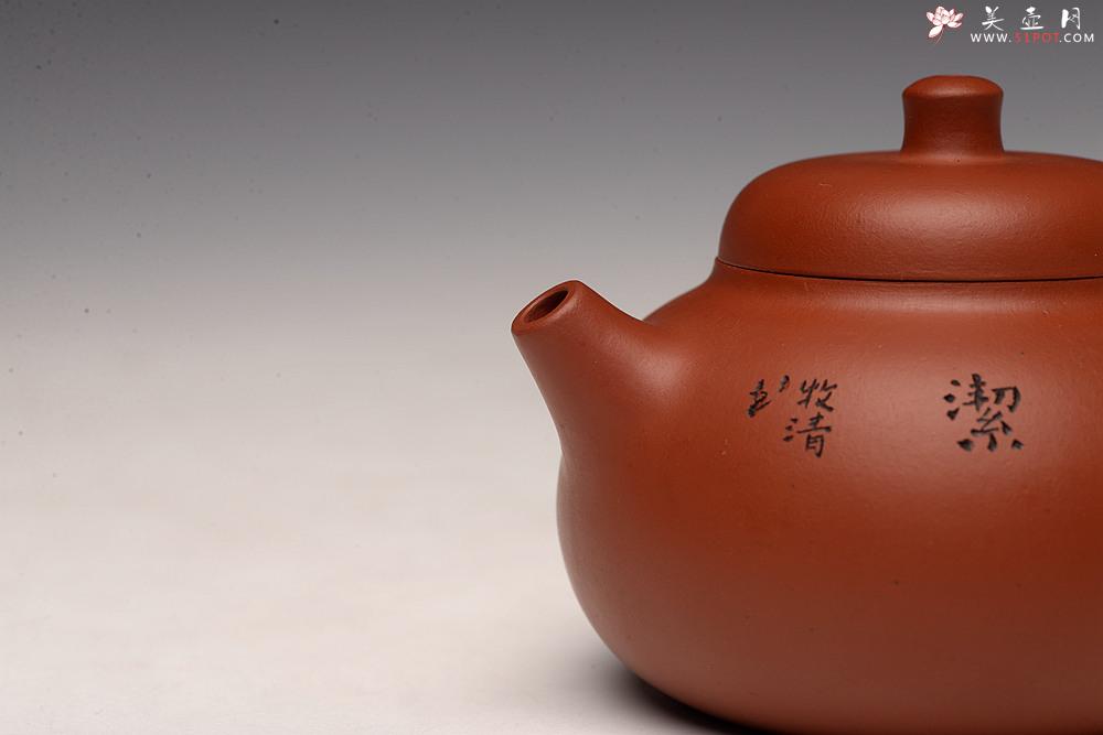 紫砂壶图片：茶盘尤物 原矿纯朱泥 红玉 饱满可人 赏玩皆宜 - 美壶网