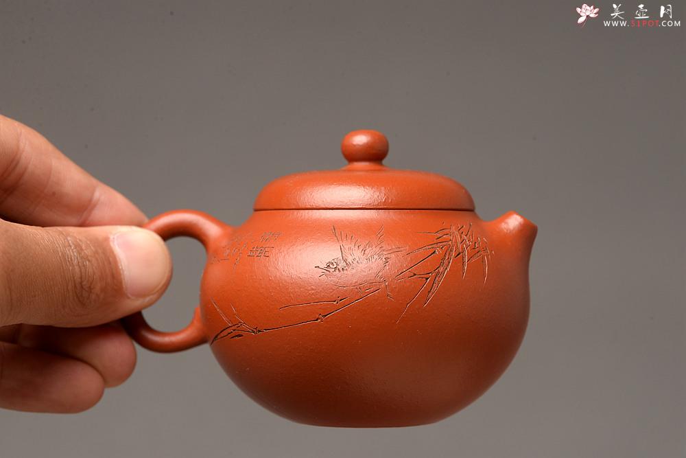 紫砂壶图片：娇艳玉人小西施 张云熙乙未年冬作品 茶盘尤物 优雅饱满 线条灵动 - 美壶网