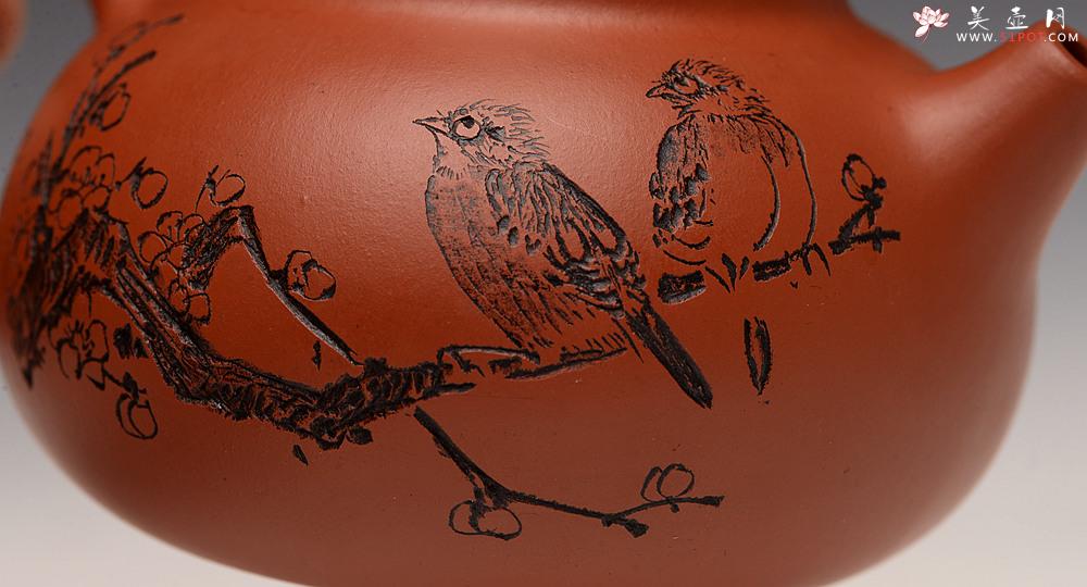 紫砂壶图片：茶盘尤物 原矿纯朱泥 红玉 饱满可人 赏玩皆宜 - 美壶网