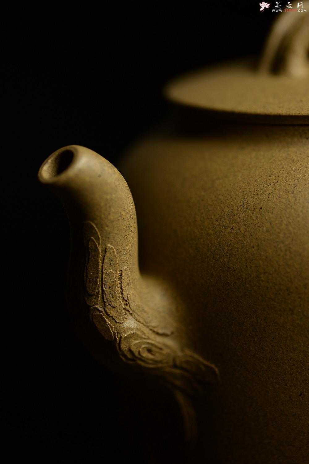 紫砂壶图片：高雪琴全手新作 优质段泥 端庄丰润 缎松 松皮逼真 - 美壶网