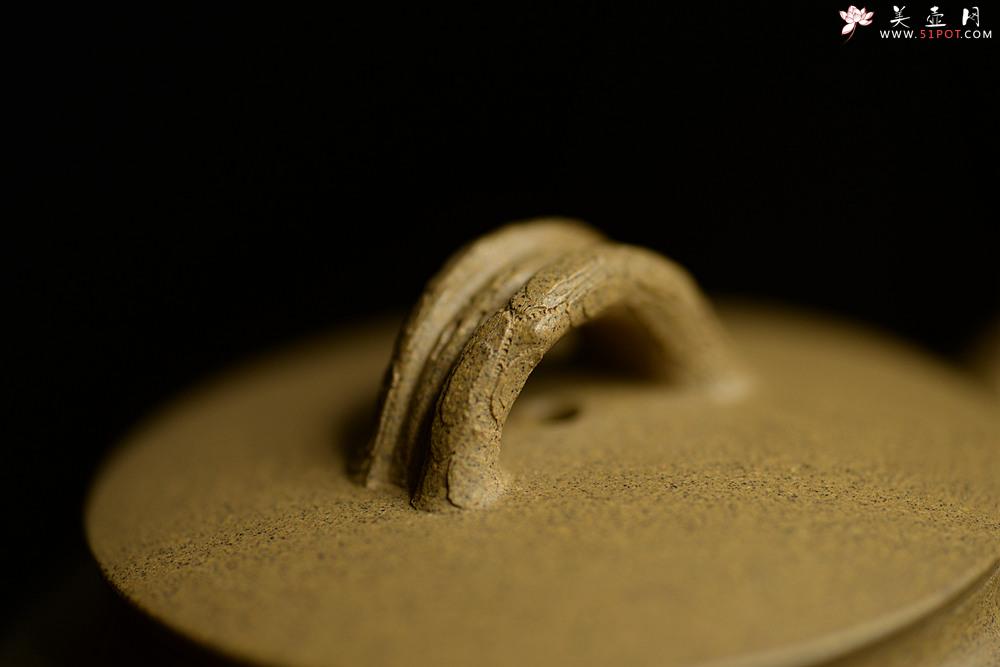 紫砂壶图片：高雪琴全手新作 优质段泥 端庄丰润 缎松 松皮逼真 - 美壶网