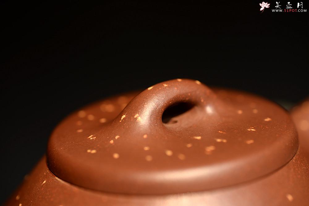 紫砂壶图片：骨肉均挺 迷人铺砂 巧克力之全手子冶石瓢 - 美壶网