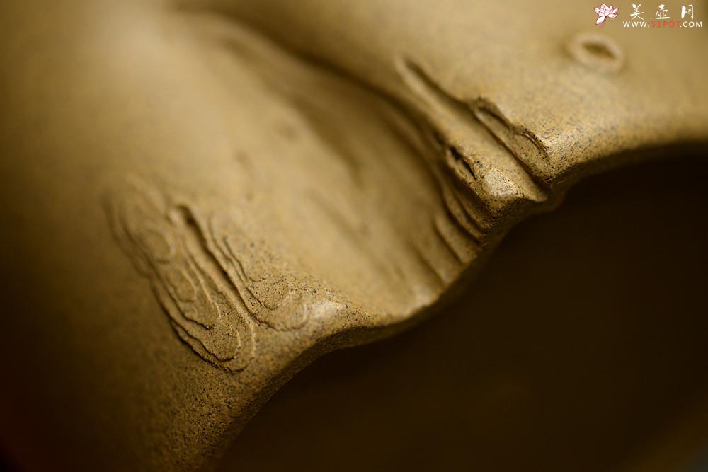 紫砂壶图片：高雪琴全手新作 优质段泥 端庄丰润 缎松 松皮逼真 - 美壶网