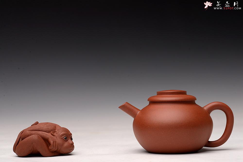 紫砂壶图片：美壶特惠  颇具特色 茶人最爱 古拙巨轮珠 独孔 不锈钢滤网 - 美壶网