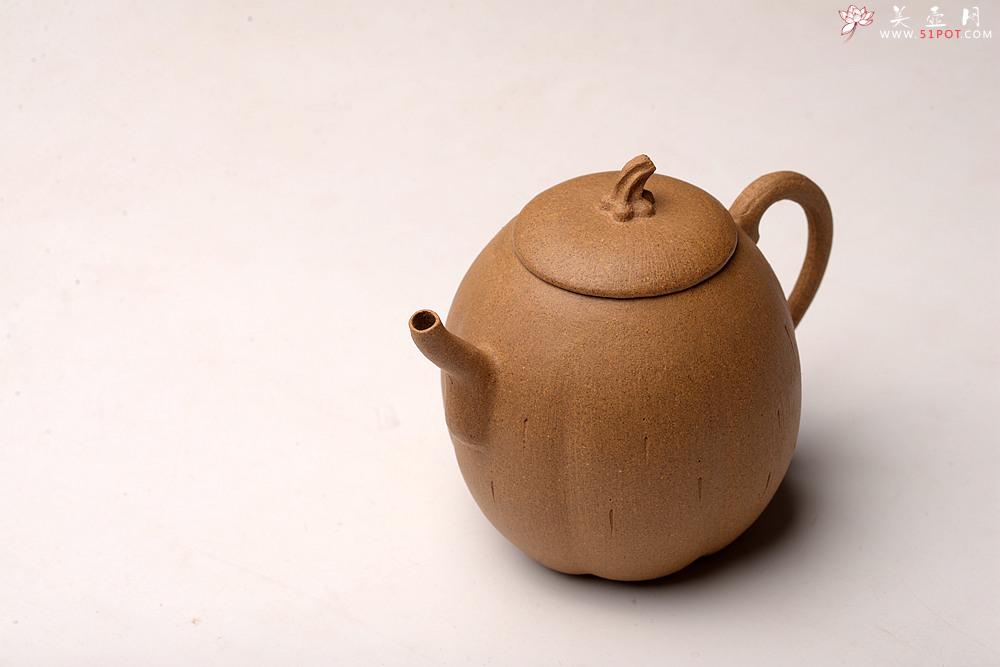 紫砂壶图片：姜建荣全手作品 硕果二 古拙有趣 秀气可人 - 美壶网