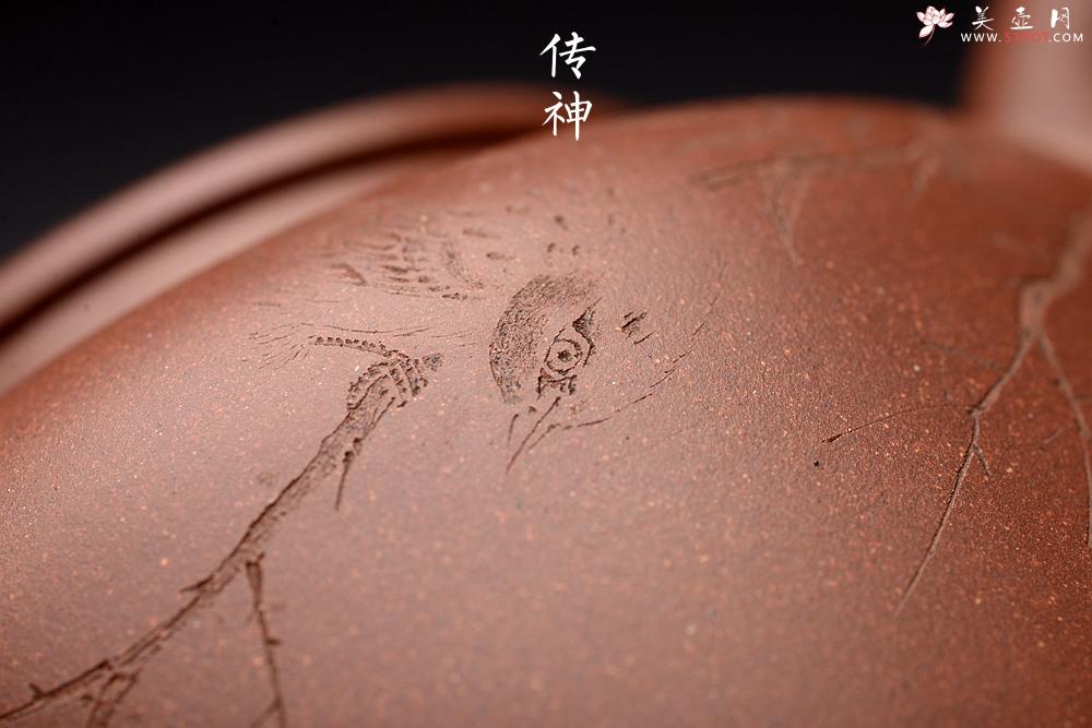 紫砂壶图片： 詹黎明、赵辉强强联合之收藏精品 全手精工 雄厚圆润 大宝相 - 美壶网