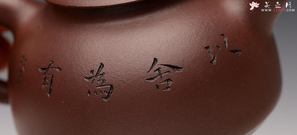 紫砂壶图片:品饮之乐 造型可人~ 悟道小壶 - 美壶网