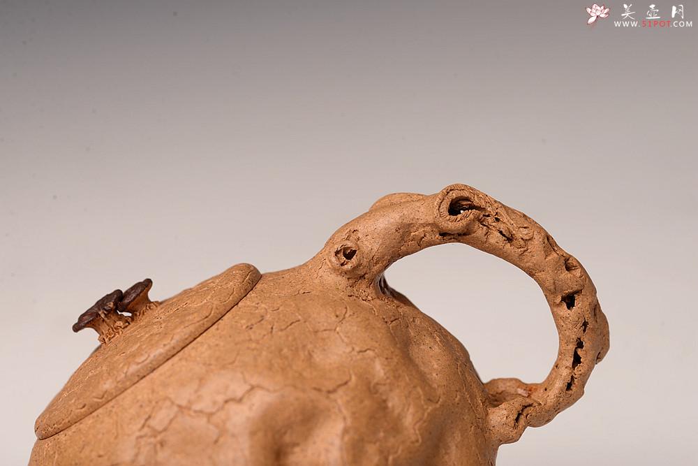 紫砂壶图片：谢多莲丙申初夏 肌理自然生动  全手小龚春 古朴之味 - 美壶网