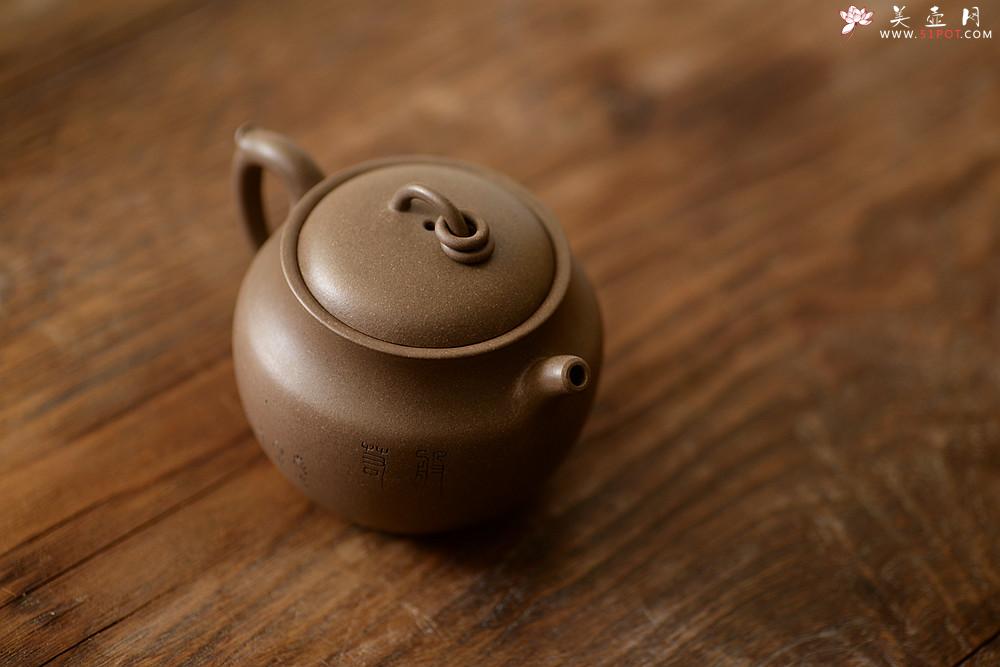 紫砂壶图片：造型新颖 耐品可人 全手青段禅钟 国师和石装饰 - 美壶网