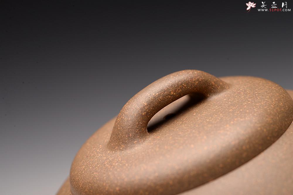 紫砂壶图片：大口扁腹 超级实用 美壶特惠 段泥飞泉 - 美壶网