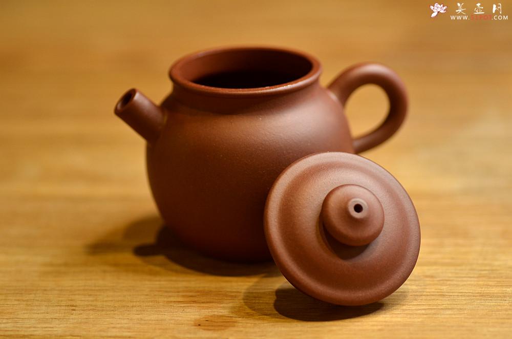 紫砂壶图片：美壶特惠 玩味巨轮 茶人最爱 实用 独孔加不锈钢滤网 - 美壶网