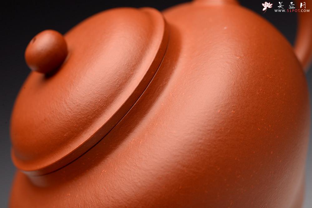 紫砂壶图片：于洪霞丙申春 原创全手作品 朱泥灵龙 秀雅耐品 刹凹仅一只 - 美壶网