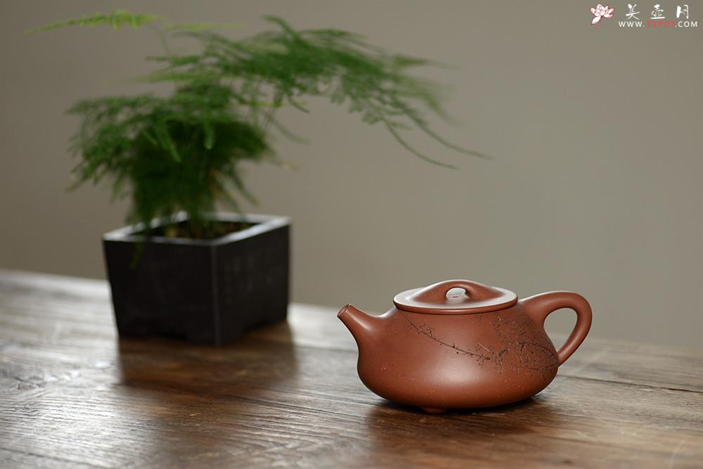 紫砂壶图片：吴杰全手新作 气势饱满 陆轶舟装饰 双刀老辣 精致耐品~ 梅花满瓢 致敬景舟 - 美壶网