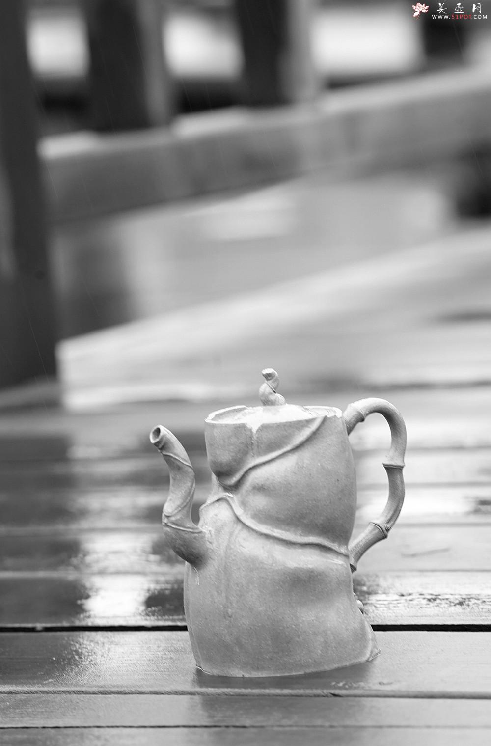 紫砂壶图片：林秀明丙申夏全手原创 摹竹韵寓隐逸之风  隐逸 养怡之福可得永年 - 美壶网