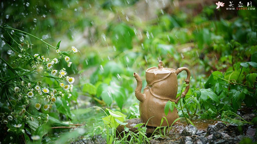 紫砂壶图片：林秀明丙申夏全手原创 摹竹韵寓隐逸之风  隐逸 养怡之福可得永年 - 美壶网