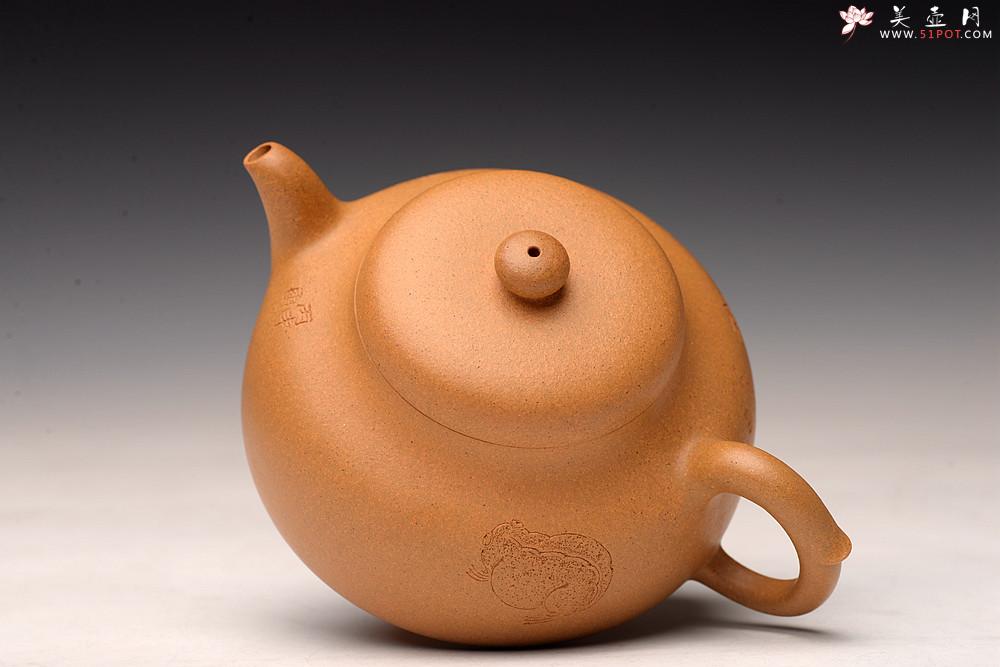 紫砂壶图片：优质段泥 玉琼 意气闲静年大口实用 端庄温婉~ - 美壶网