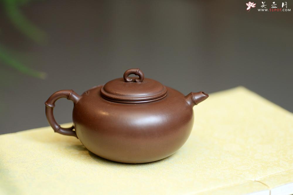 紫砂壶图片：实力派潘丹初丙申夏 优质紫泥  国画入壶 秀雅文气 全手原创福竹o(∩_∩)o - 美壶网