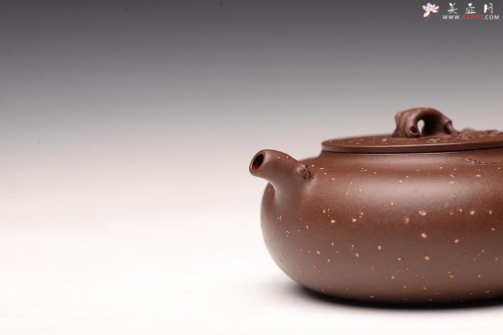 紫砂壶图片:潘丹初丙申夏全手作品~ 温文尔雅 踏雪寻梅 灵秀之作 雪中情 - 美壶网