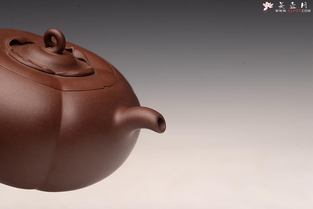 紫砂壶图片：潘丹初丙申夏精品 筋囊花货 全手玉柿二式 秀美逸品 爱不释手的精品 - 美壶网