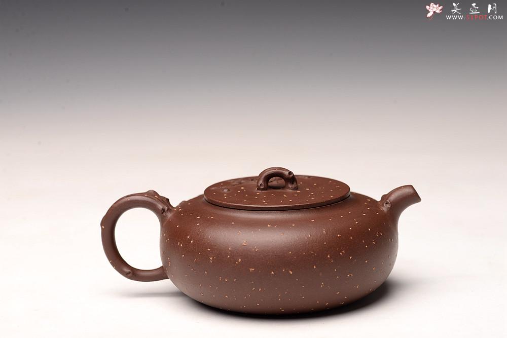 紫砂壶图片:潘丹初丙申夏全手作品~ 温文尔雅 踏雪寻梅 灵秀之作 雪中情 - 美壶网