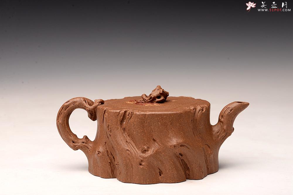 紫砂壶图片：林月长丙申夏全手原创精品 肌理丰富 紫砂新风 学院派 逸林 - 美壶网