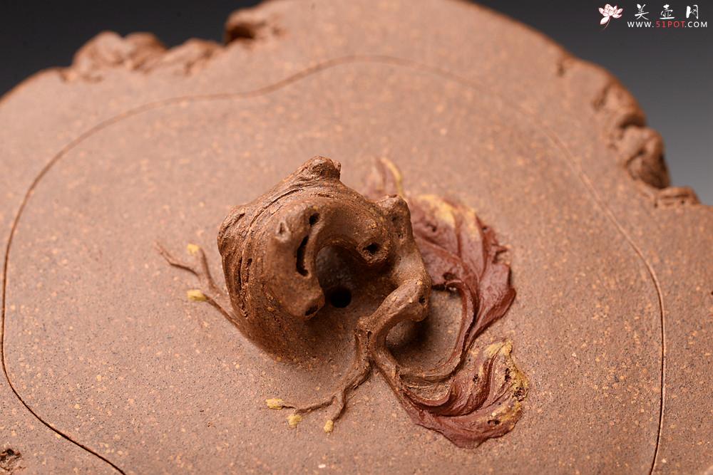 紫砂壶图片：林月长丙申夏全手原创精品 肌理丰富 紫砂新风 学院派 逸林 - 美壶网