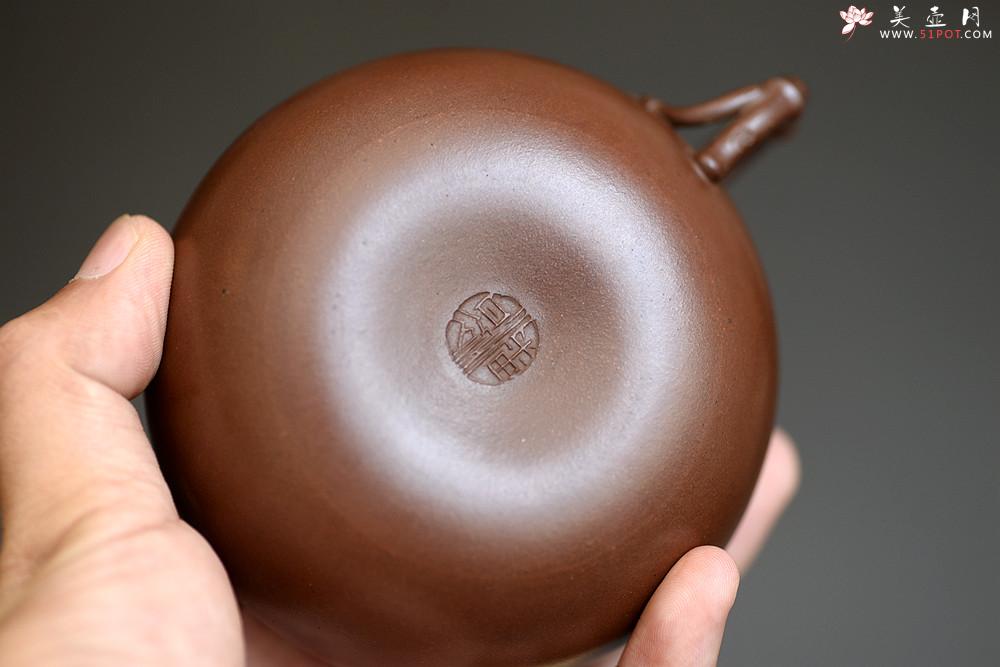 紫砂壶图片：实力派潘丹初丙申夏 优质紫泥  国画入壶 秀雅文气 全手原创福竹o(∩_∩)o - 美壶网