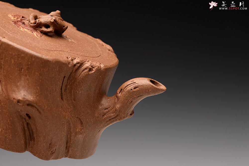 紫砂壶图片：林月长丙申夏全手原创精品 肌理丰富 紫砂新风 学院派 逸林 - 美壶网