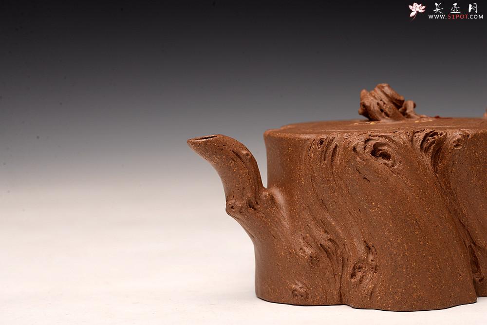 紫砂壶图片：林月长丙申夏全手原创精品 肌理丰富 紫砂新风 学院派 逸林 - 美壶网