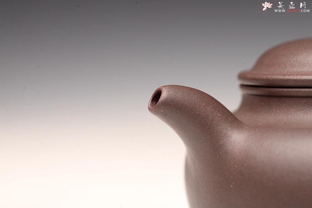 紫砂壶图片：传统器形 大口实用 精品紫茄泥 全手扁莲子 - 美壶网