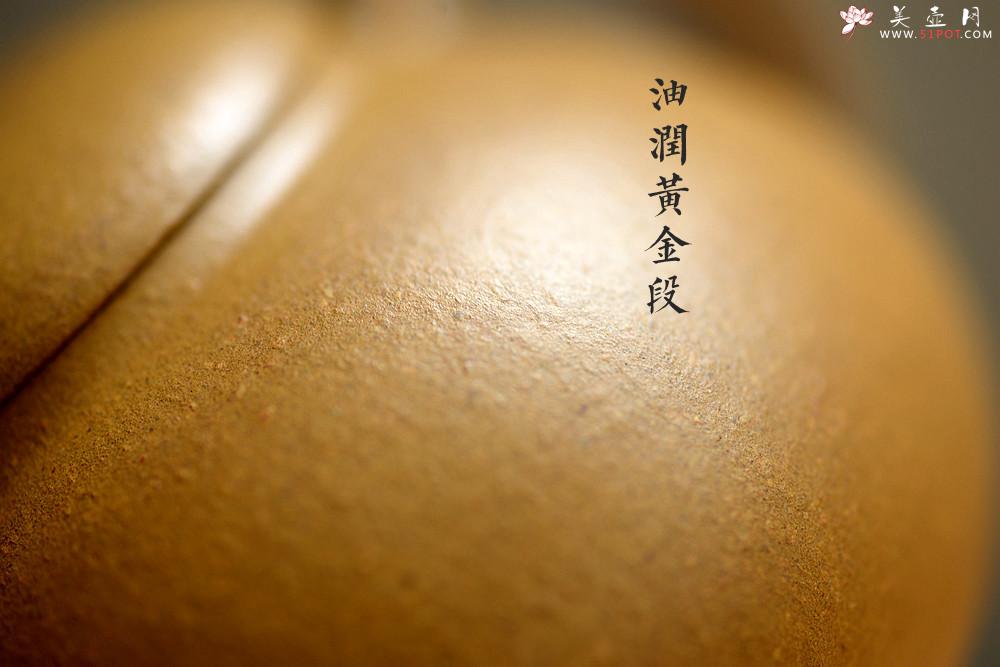 紫砂壶图片：周路健丙申夏全手薄胎 娇小迷人 马景辉款式 全手工西施    - 美壶网