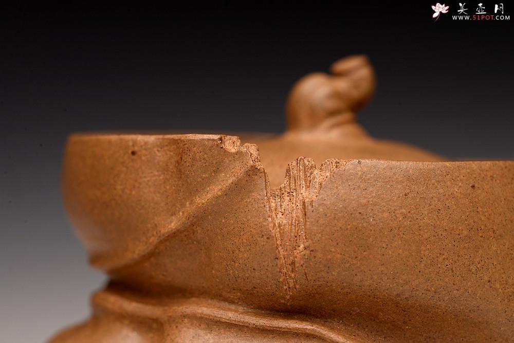 紫砂壶图片：林秀明丙申夏 全手精品 文心入泥 原创作品 永怡 灵秀玩味 - 美壶网