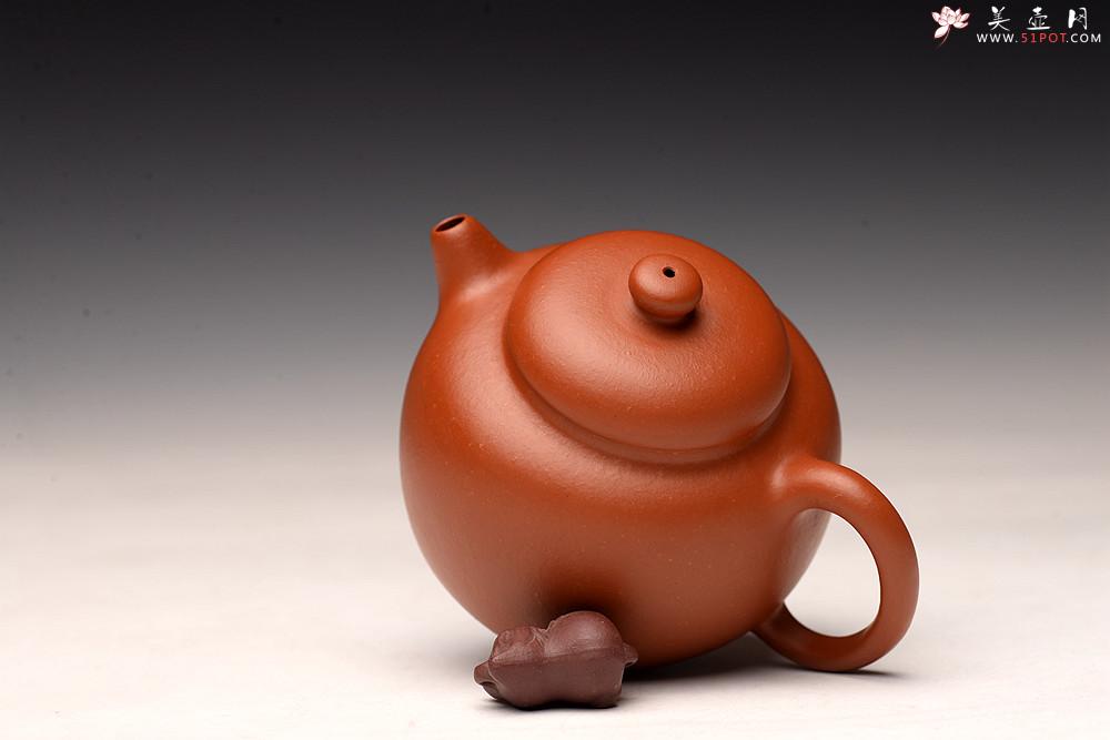 紫砂壶图片：徐亚春丙申秋全手新作 圆亭 敦厚可人 杀茶利器 - 美壶网