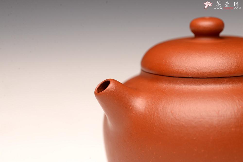 紫砂壶图片：徐亚春丙申秋全手新作 圆亭 敦厚可人 杀茶利器 - 美壶网