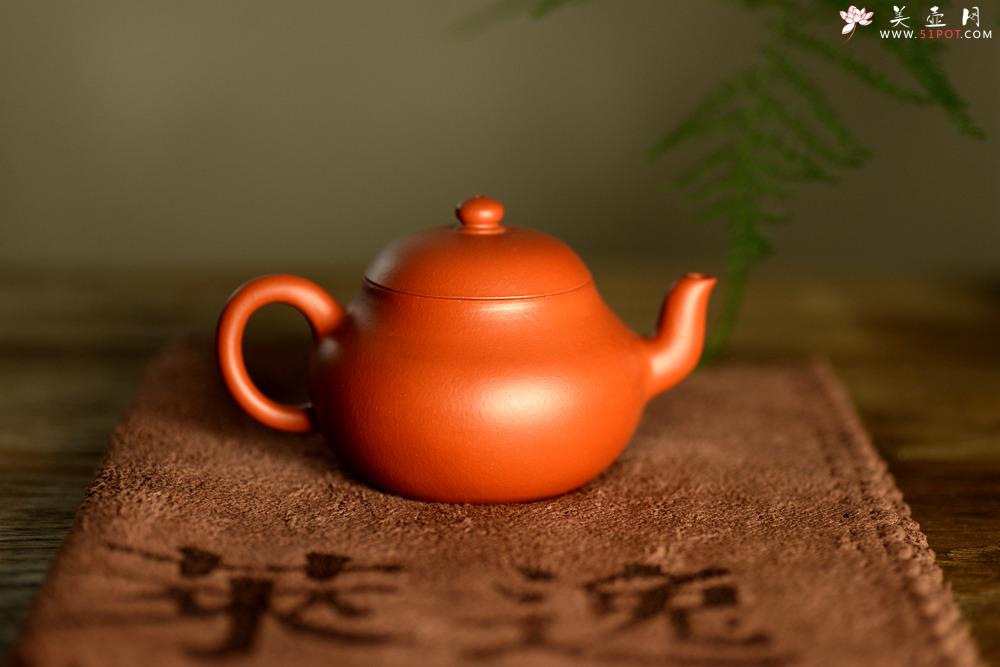 紫砂壶图片：只为茶人 传统器形 古雅大方 优质朱泥 全手君德 - 美壶网
