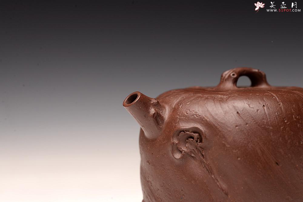 紫砂壶图片:花货新风尚 妙趣横生 潘丹初经典全手之作 玄木 木叶动秋声~ - 美壶网